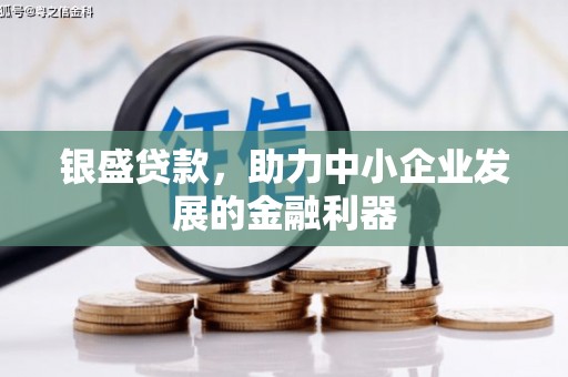安康银盛贷款，助力中小企业发展的金融利器