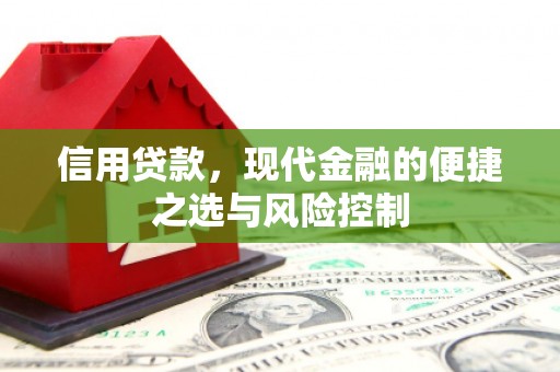 安康信用贷款，现代金融的便捷之选与风险控制