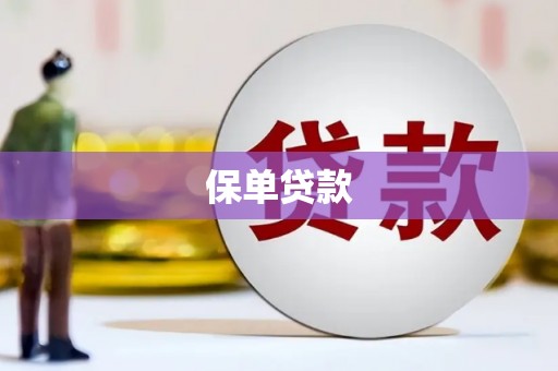 安康保单贷款
