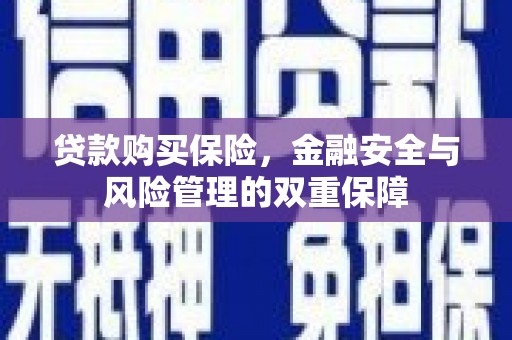 安康贷款购买保险，金融安全与风险管理的双重保障