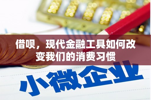 安康借呗，现代金融工具如何改变我们的消费习惯