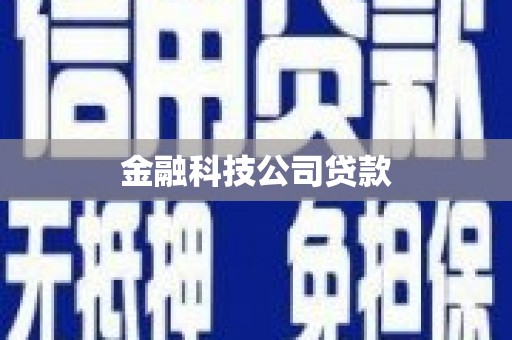 安康金融科技公司贷款