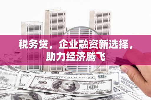 安康税务贷，企业融资新选择，助力经济腾飞