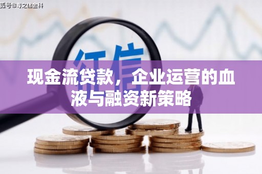 安康现金流贷款，企业运营的血液与融资新策略