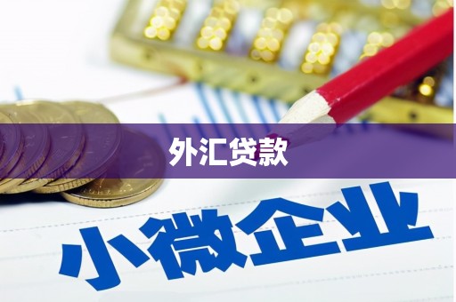 安康外汇贷款