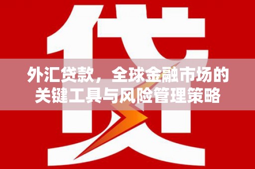 安康外汇贷款，全球金融市场的关键工具与风险管理策略