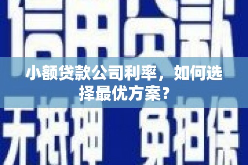 安康小额贷款公司利率，如何选择最优方案？
