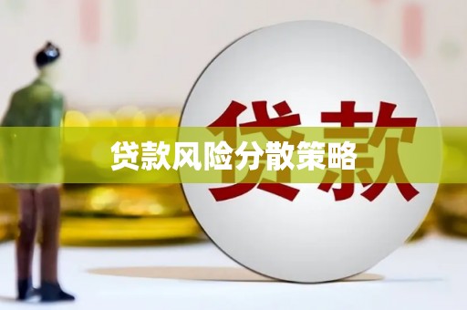 安康贷款风险分散策略
