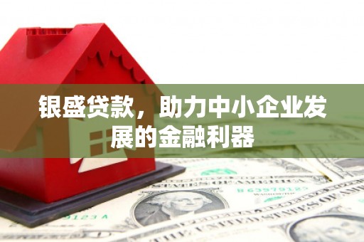 安康银盛贷款，助力中小企业发展的金融利器