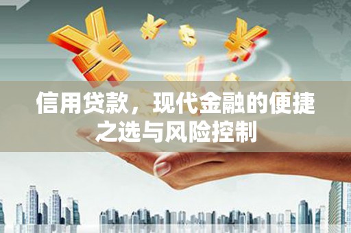 安康信用贷款，现代金融的便捷之选与风险控制