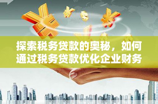安康探索税务贷款的奥秘，如何通过税务贷款优化企业财务