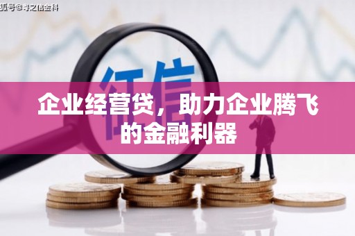 安康企业经营贷，助力企业腾飞的金融利器