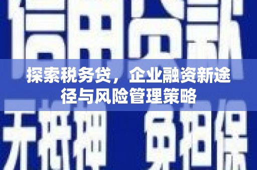 安康探索税务贷，企业融资新途径与风险管理策略