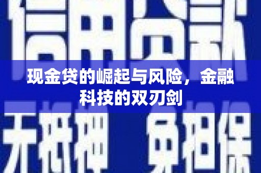 安康现金贷的崛起与风险，金融科技的双刃剑