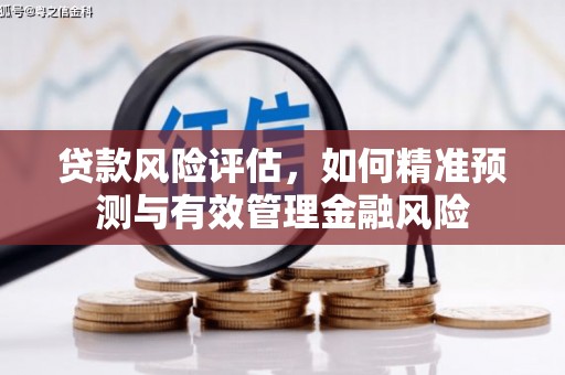安康贷款风险评估，如何精准预测与有效管理金融风险