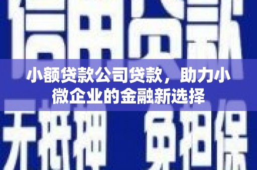 安康小额贷款公司贷款，助力小微企业的金融新选择