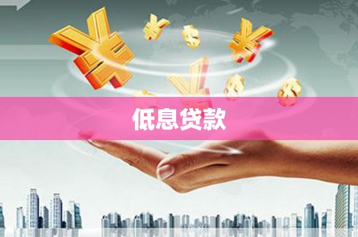 安康低息贷款