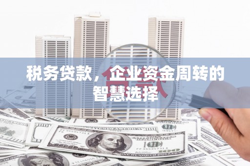 安康税务贷款，企业资金周转的智慧选择