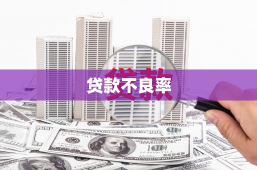 安康贷款不良率
