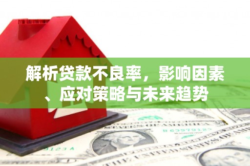 安康解析贷款不良率，影响因素、应对策略与未来趋势