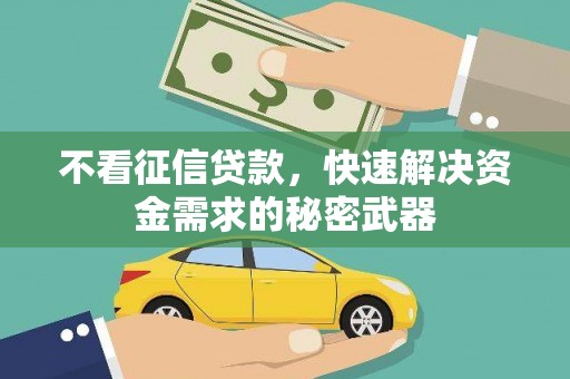 安康不看征信贷款，快速解决资金需求的秘密武器