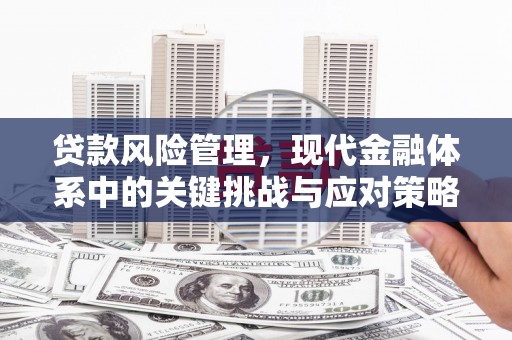 安康贷款风险管理，现代金融体系中的关键挑战与应对策略