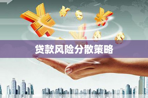 安康贷款风险分散策略