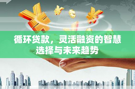 安康循环贷款，灵活融资的智慧选择与未来趋势