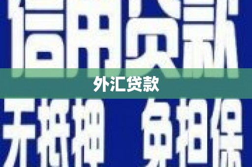 安康外汇贷款