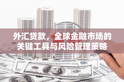 安康外汇贷款，全球金融市场的关键工具与风险管理策略
