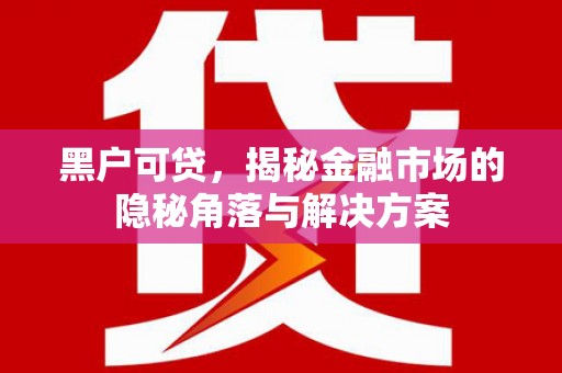 安康黑户可贷，揭秘金融市场的隐秘角落与解决方案