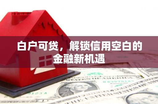 安康白户可贷，解锁信用空白的金融新机遇