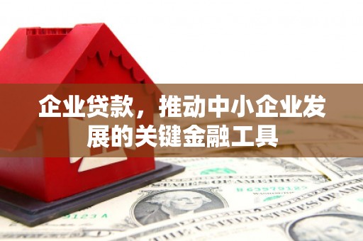 安康企业贷款，推动中小企业发展的关键金融工具