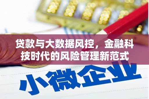 安康贷款与大数据风控，金融科技时代的风险管理新范式