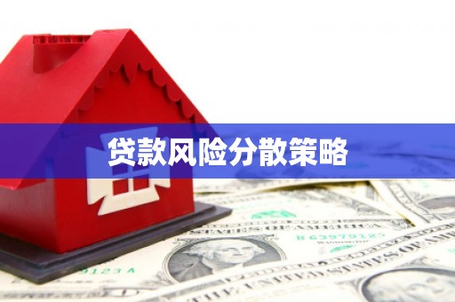 安康贷款风险分散策略