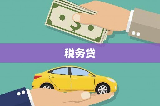 安康税务贷