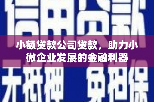 安康小额贷款公司贷款，助力小微企业发展的金融利器