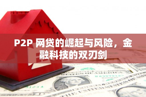 安康P2P 网贷的崛起与风险，金融科技的双刃剑