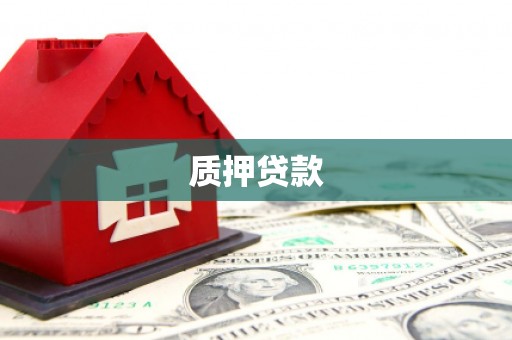 安康质押贷款