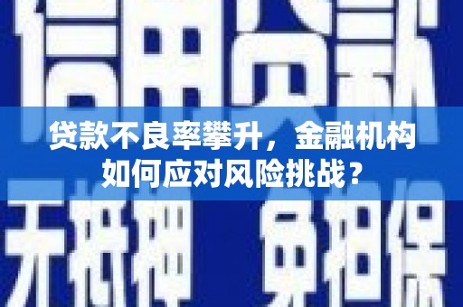 安康贷款不良率攀升，金融机构如何应对风险挑战？