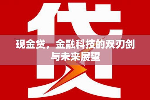 安康现金贷，金融科技的双刃剑与未来展望