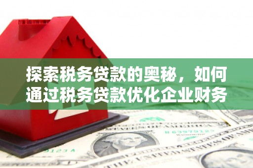 安康探索税务贷款的奥秘，如何通过税务贷款优化企业财务