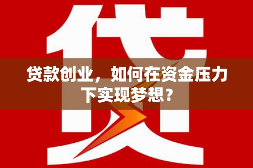 安康贷款创业，如何在资金压力下实现梦想？
