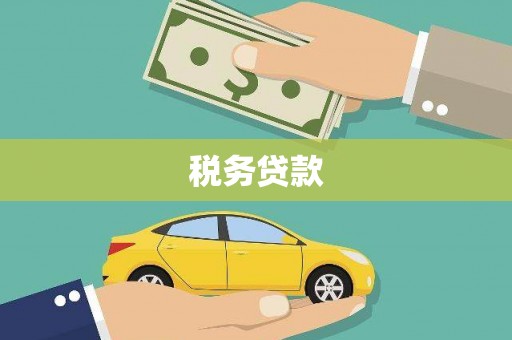 安康税务贷款