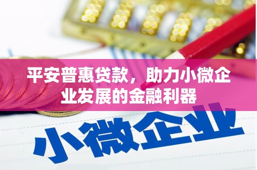 安康平安普惠贷款，助力小微企业发展的金融利器