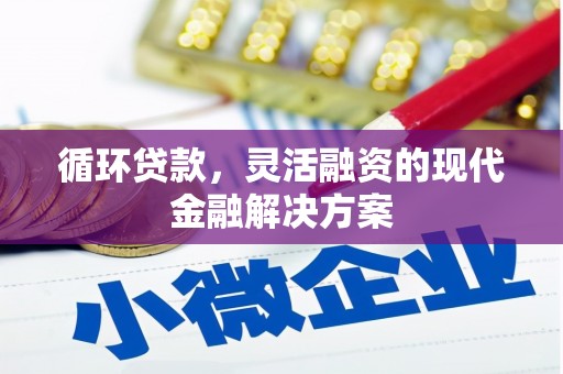 安康循环贷款，灵活融资的现代金融解决方案