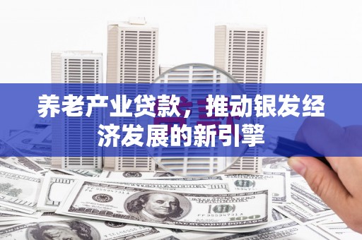 安康养老产业贷款，推动银发经济发展的新引擎