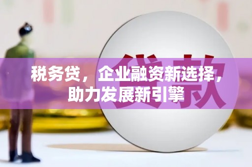 安康税务贷，企业融资新选择，助力发展新引擎