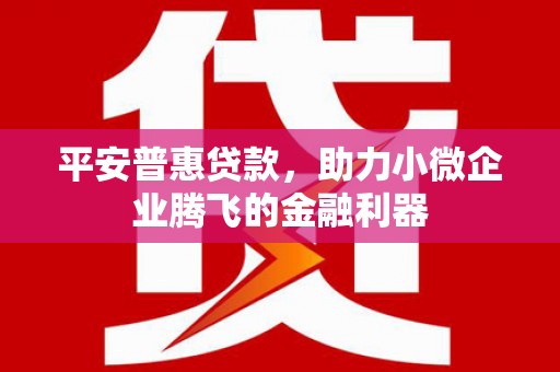 安康平安普惠贷款，助力小微企业腾飞的金融利器