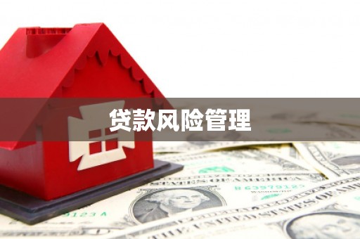 安康贷款风险管理
